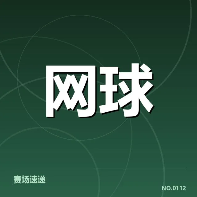 主要国家队伍的最新表现与数据